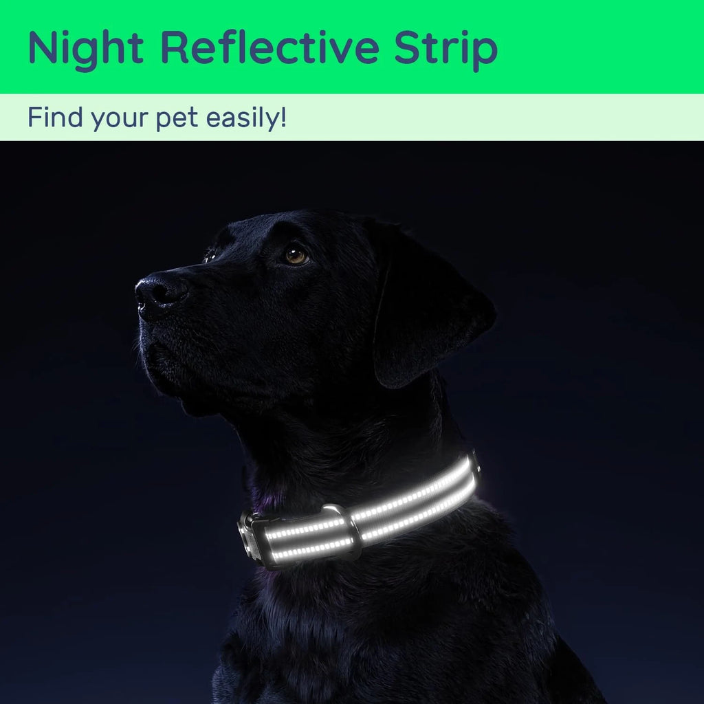Kliply DogTrack — AirTag Waterproof Safety Collar